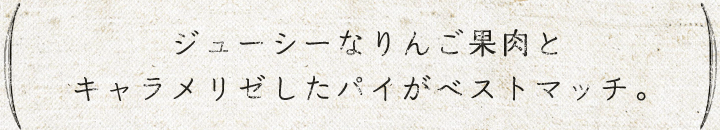 ジューシーなりんご果肉とキャラメリゼしたパイがベストマッチ。
